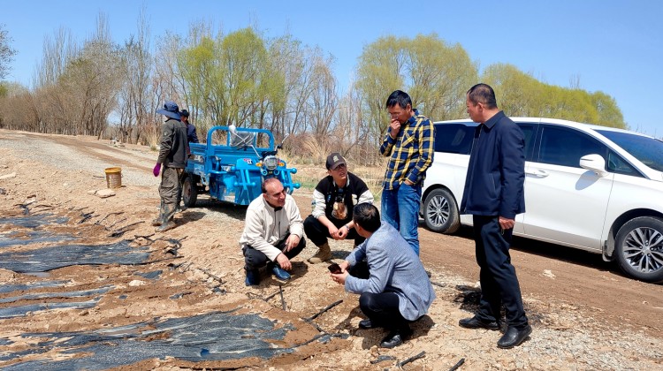 伊朗专家团到甘肃农垦亚盛亚美特节水  有限公司参观考察