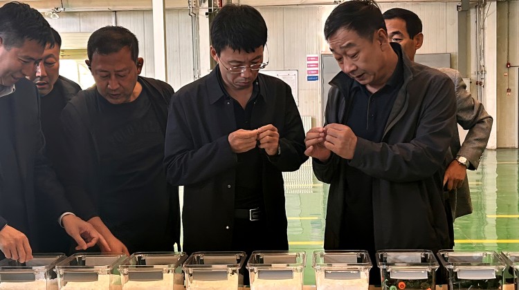扶余市政府考察亚盛亚美特公司共启产业合作新征程
